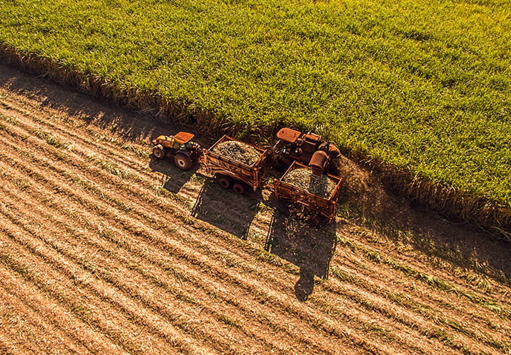 Trelleborg Sugar Cane Harvesters tyres